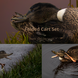 Gevouwen kaarten set: Eenden collectie