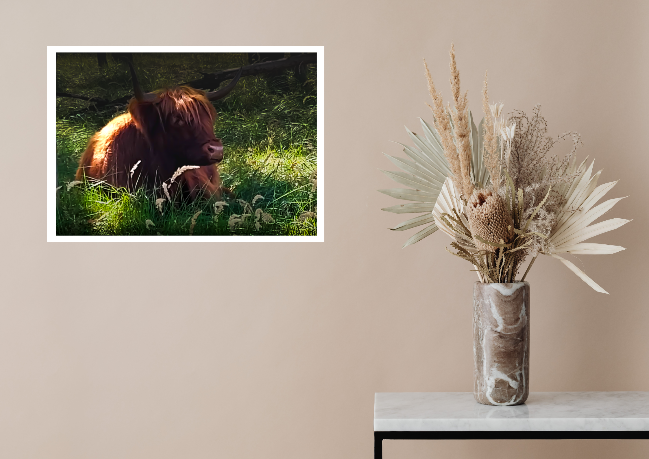 Schotse Hooglander kalf afdruk - Afbeelding 3