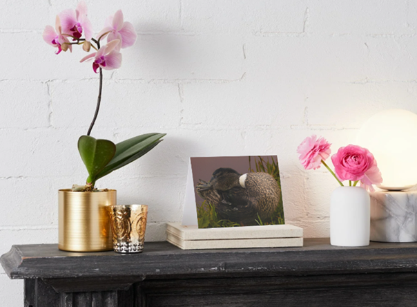 Gevouwen kaart: Lieve vrouwtjes eend - Afbeelding 5