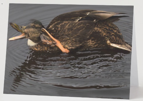 Gevouwen kaart: Wat zeg je? - Afbeelding 3