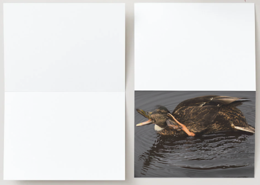 Gevouwen kaart: Wat zeg je? - Afbeelding 4