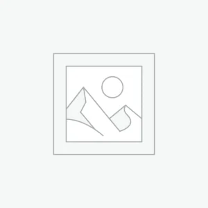 Libelle, klaar om op te vliegen afdruk